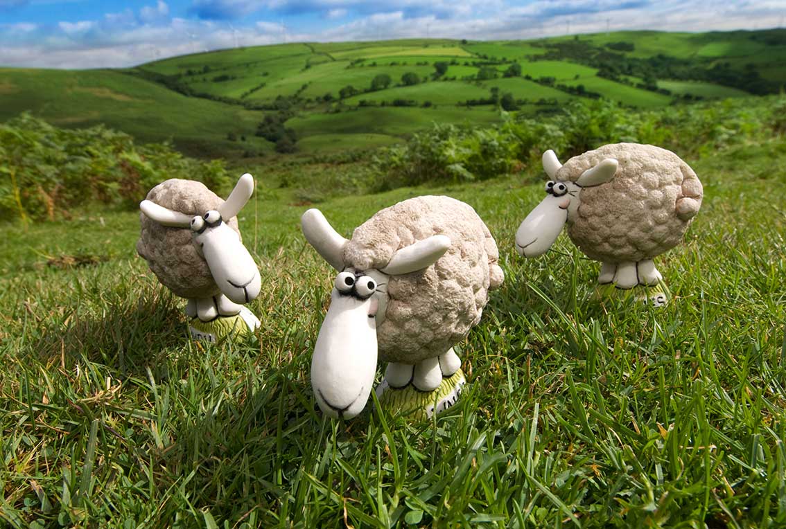 Grogg-Sheeps