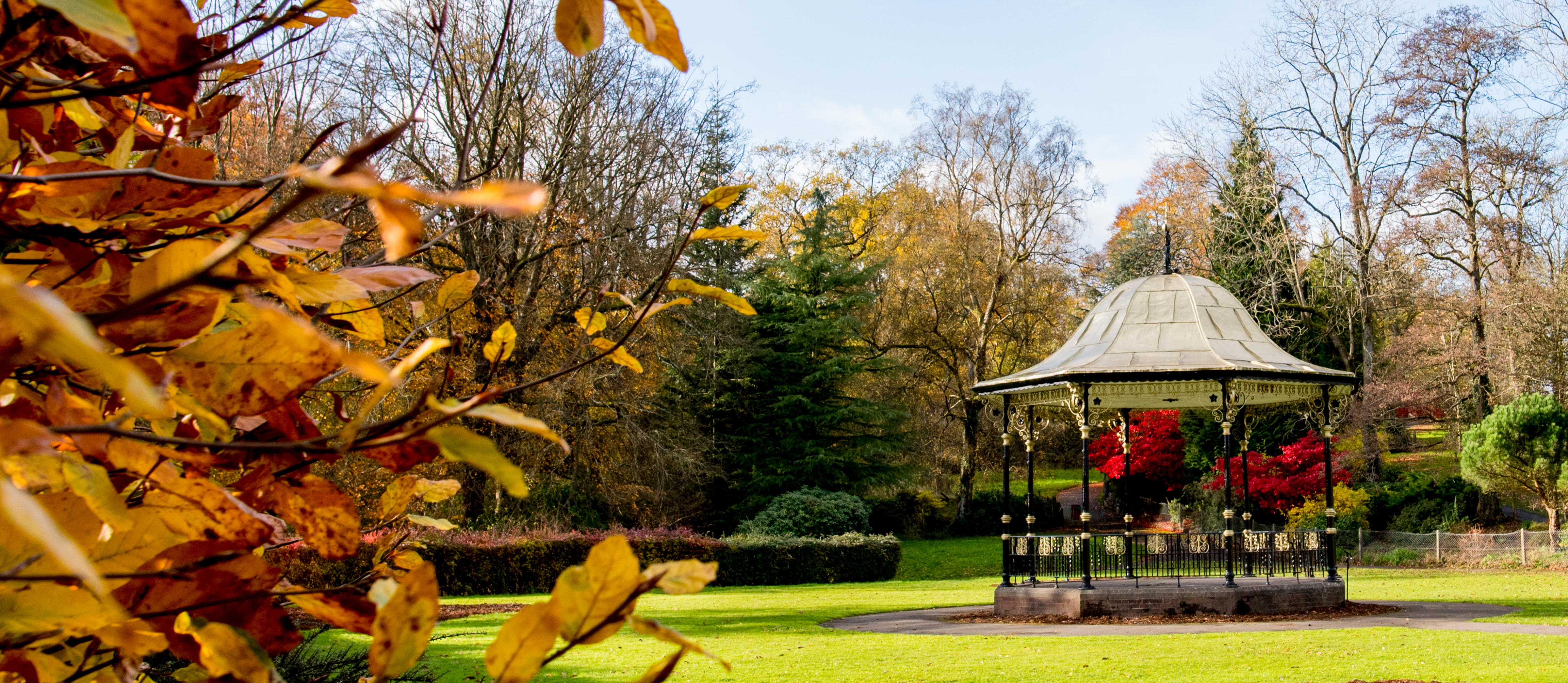 Aberdare Park - Autumn - Bandstand - Trees - Leaves-3