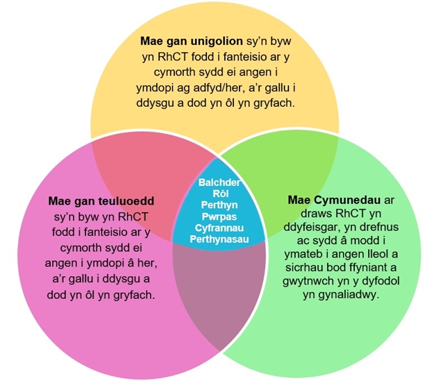 NN Ven Diagram FINAL Welsh