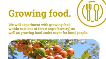 Land At Corbett Street - growing food