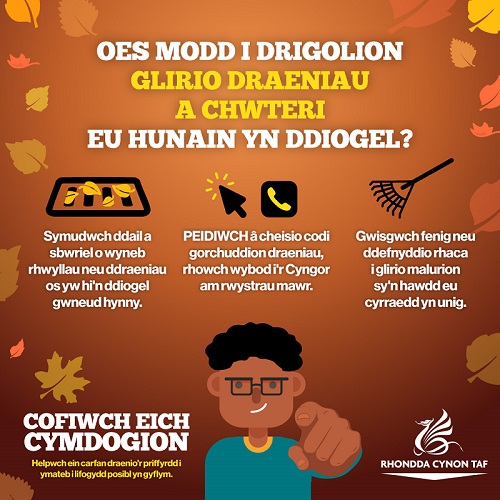 WELSH-Clear-drains-and-gulleys-themselves - Copy