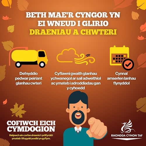 WELSH-What-does-the-Council-do-to-clear-drains-and-gulleys - Copy