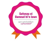 Doing it right standards logo welsh