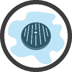 Sewer and Water Mains Flooding