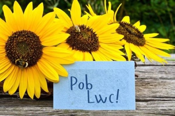 Pob Lwc Maria a Lucie