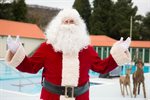 Sesiwn Nofio Gŵyl San Steffan a Nofio Dydd Calan: Lido Ponty