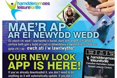 Ap Hamdden am Oes sydd ei newydd wedd
