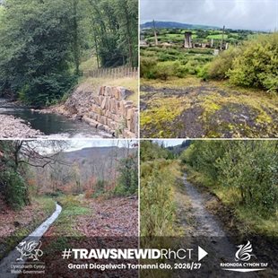 Tip funding CYM resized