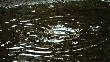 Rain