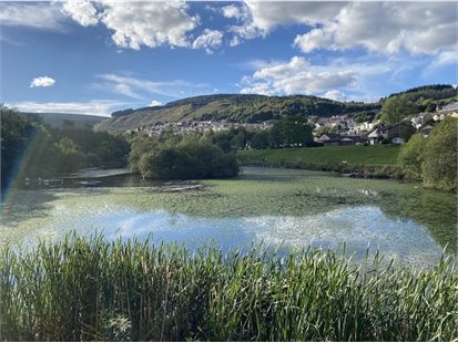 Lake in the sun with reeds and houses in background