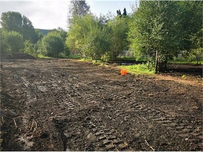 Soil in field surrounded by trees