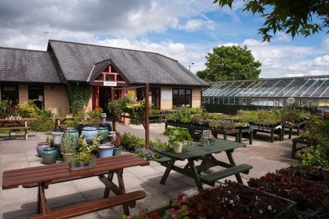 Maesnewydd Garden Centre-48