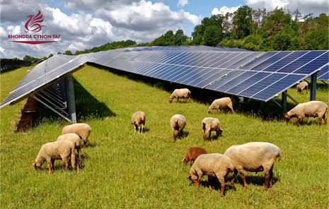 Solar farm