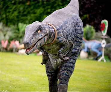 Aberdare Fesival 2022 - GDPR Approved - Set 1-99