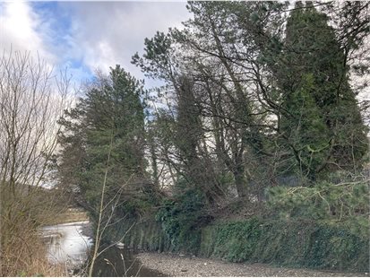 Gelli Park river wall - Copy