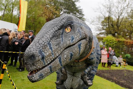 RCT_Aberdare_Festival_2023-7094