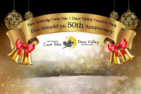 DVCP-50th-Anniversary-465x309 Contensis