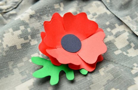 plastic free poppy larger