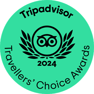 TC_green_winner-gif_LL_2024