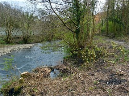 Pentwyn tip site - Copy
