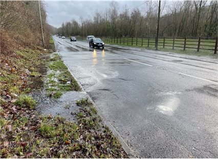 A4059 Mountain Ash