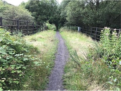 Rhondda Fach Active Travel phase 5