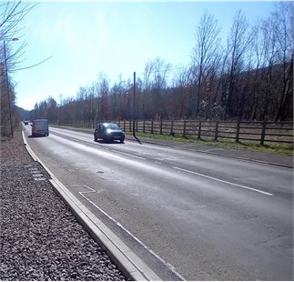 A4059 Mountain Ash 1