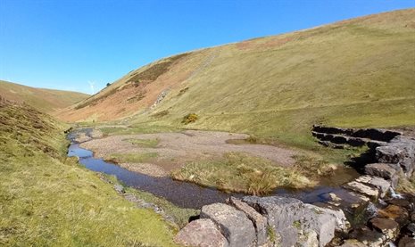 Gilfach Goch tip