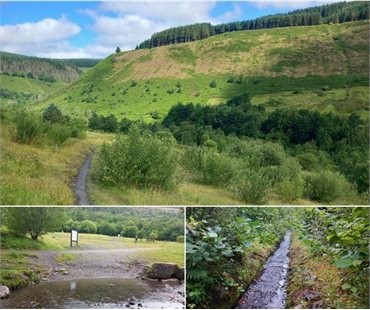 Clydach country park grid - Copy
