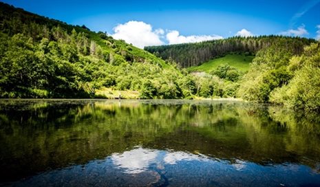 cwm clydach 4