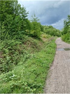Penrhiwceiber tip 2 - Copy