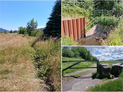 Penyrenglyn tip grid - Copy