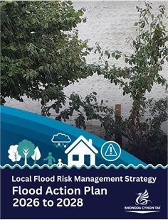 Flood Action Plan - Copy