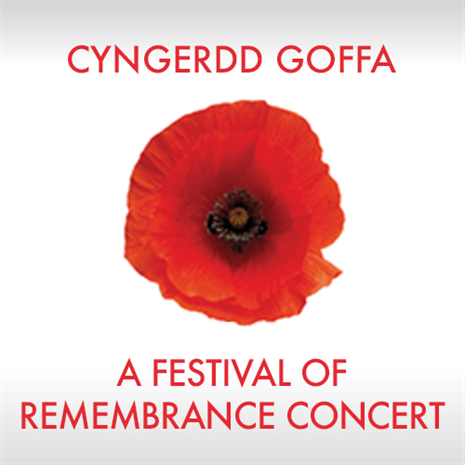 Festival of Remembrance Concert Thumbnail 500x500