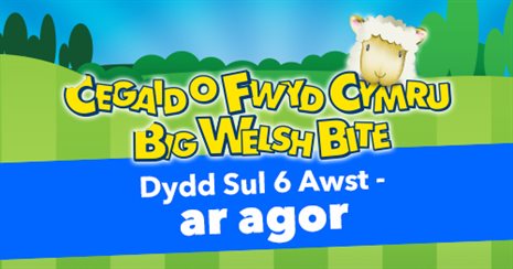 Facebook Event Pic - Big Welsh Bite 2023 500 x 263pix WELSH OPEN SUN