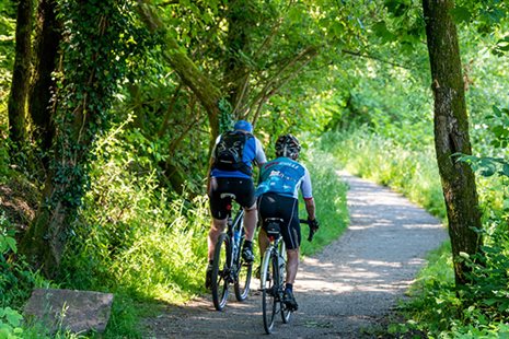 Two cyclists riding bikes on a tree lined trail