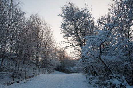 Snow in Clydach