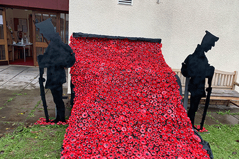 Poppies Waterfall for remembrance day