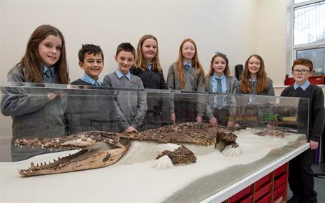Pupils at Ysgol Gynradd Gymraeg Bodringallt with the crocodile on display