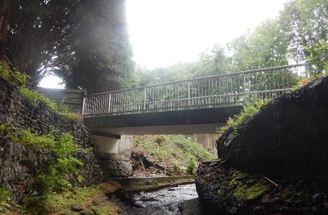 Tynybryn footbridge