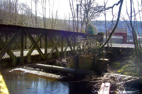 Gelligaled Park footbridge