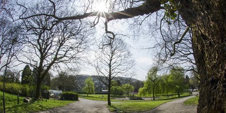 Pontypridd Park- view