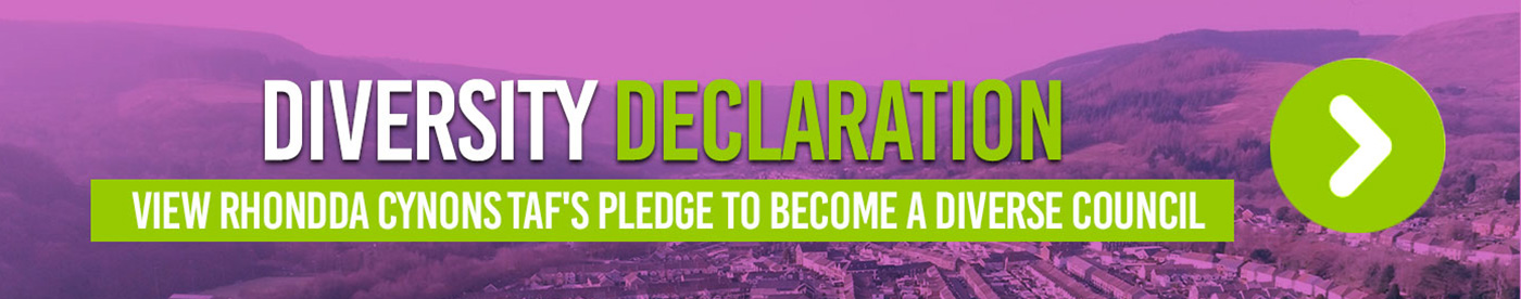 Diversity-Declaration-coloured
