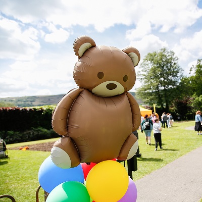 Aberdare Teddy