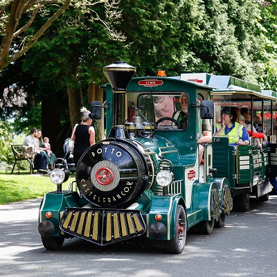 Aberdare Train