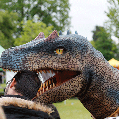 Aberdare-festival-Trex