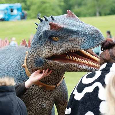 Aberdare-festival-rex
