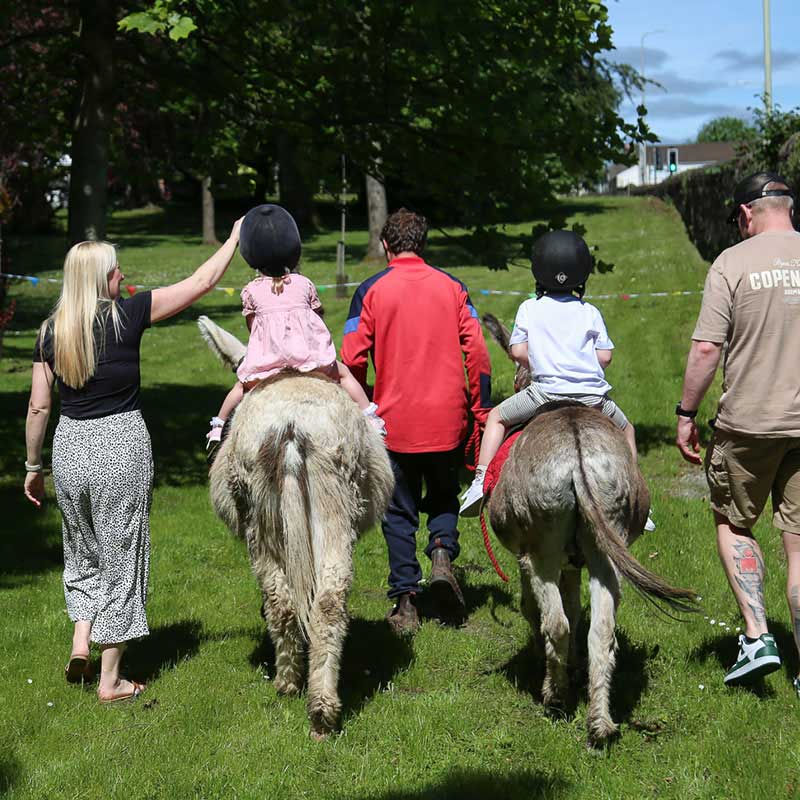 Pony