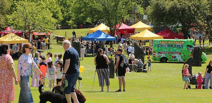 full-field