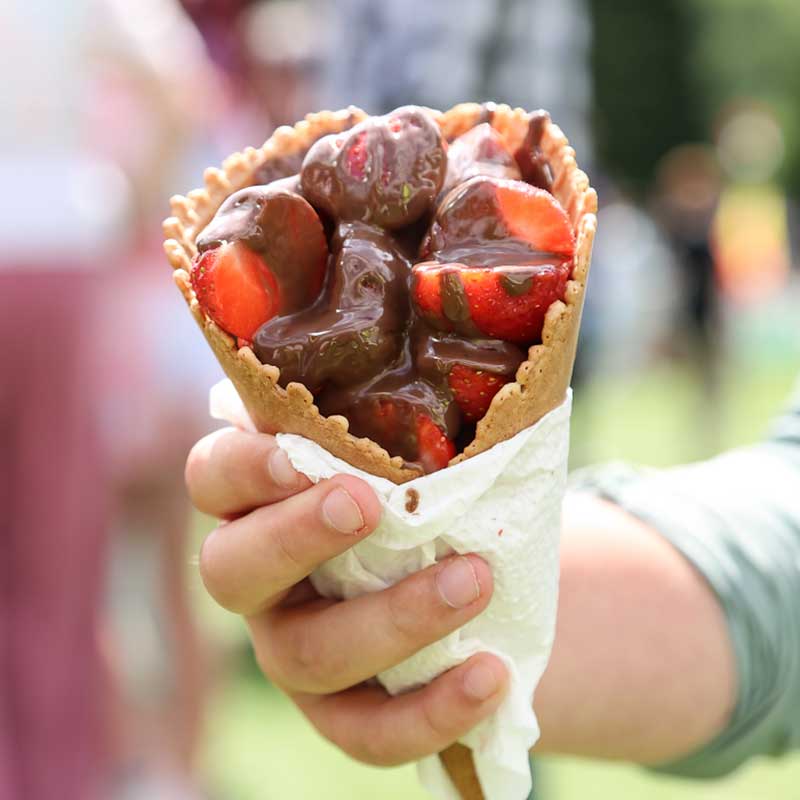Strawberry-chocolate